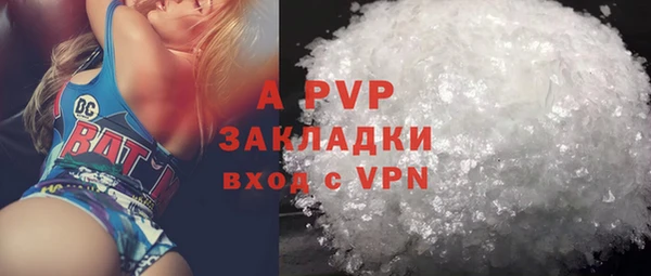 сатива Баксан