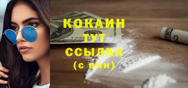 сатива Баксан
