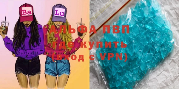 сатива Баксан