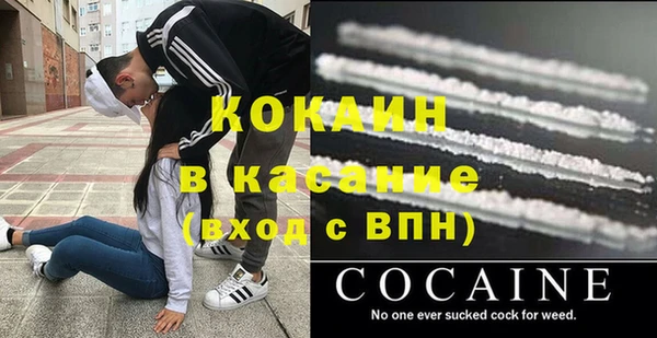 сатива Баксан