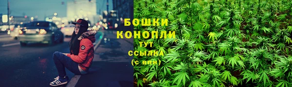 сатива Баксан