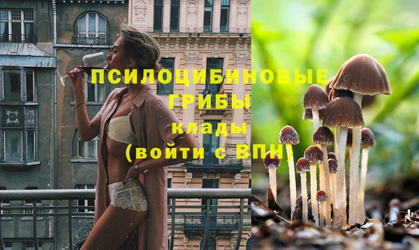 прущий лед Балахна